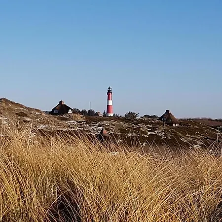 Seestern Appartement *